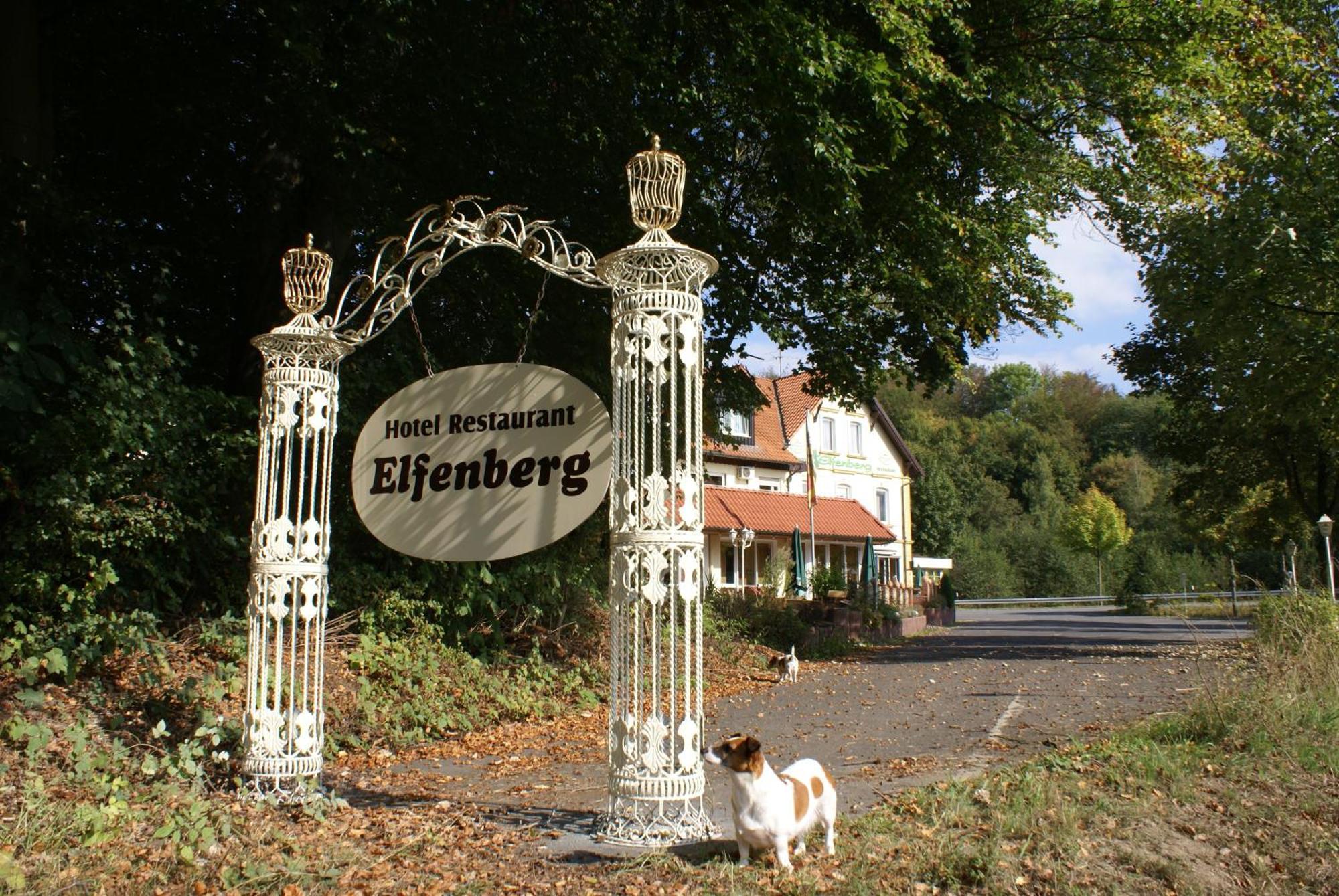 Hotel Elfenberg Schieder-Schwalenberg Luaran gambar