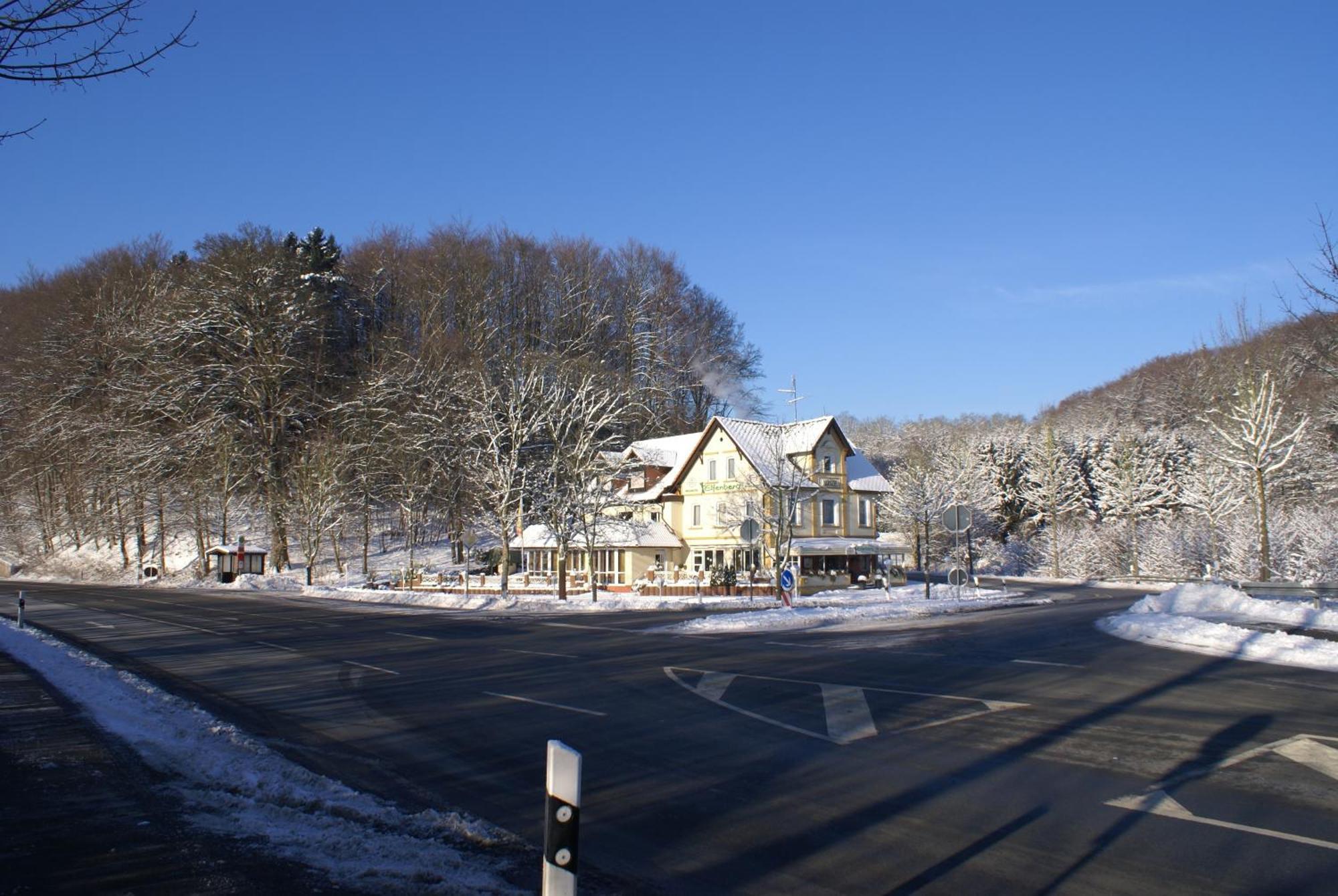 Hotel Elfenberg Schieder-Schwalenberg Luaran gambar
